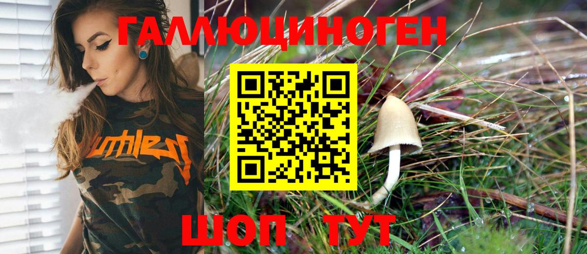 Псилоцибиновые грибы Psilocybe  купить наркоту  Губкинский  Вход с VPN 