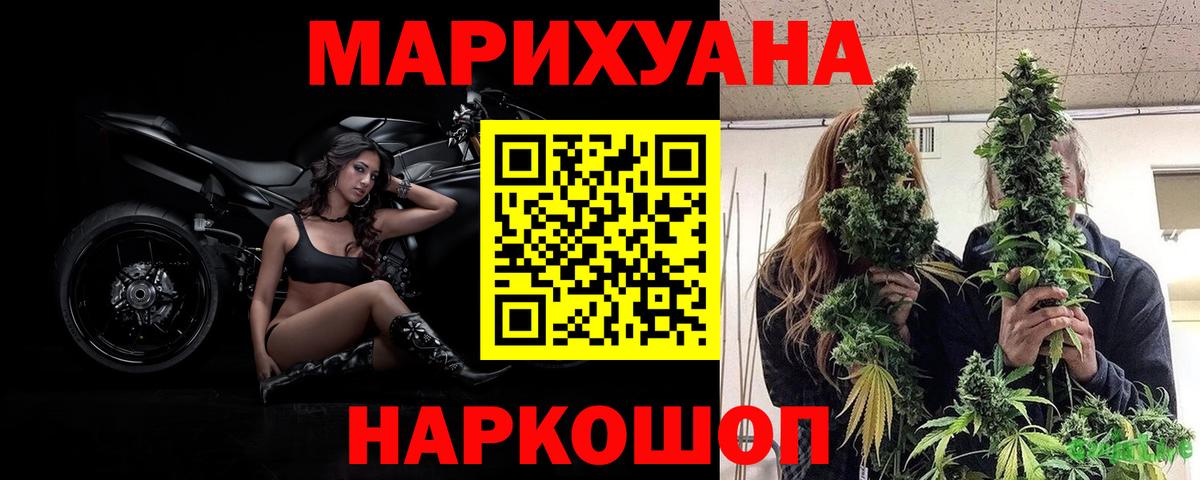Конопля тримм Губкинский